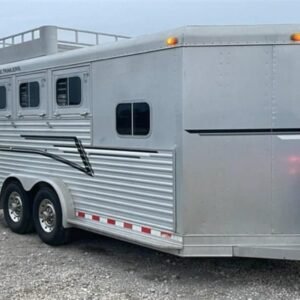 1999 Elite Custom 3 Horse Trailer